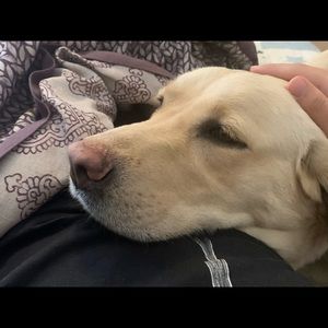 Meet your Posher, Edward